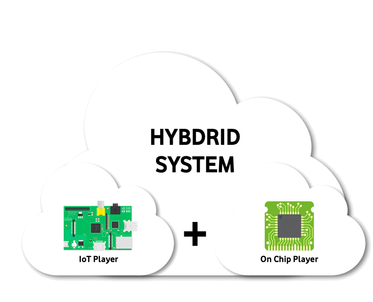 Hybrid System